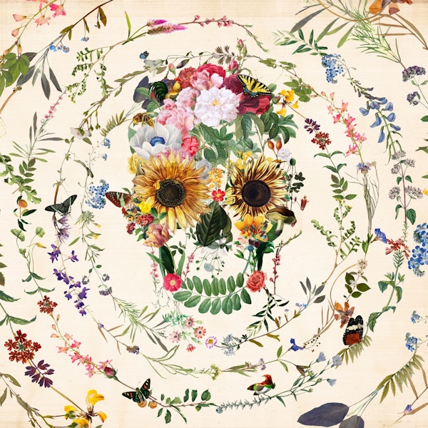 Circle Of Life Skull