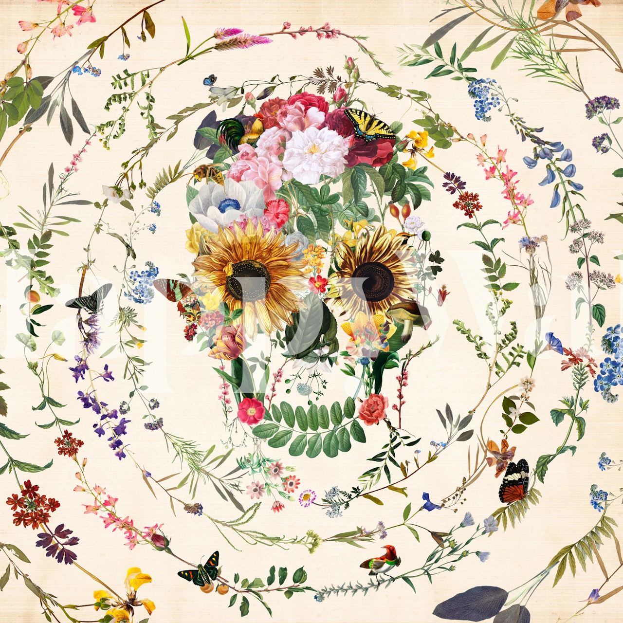 Circle Of Life Skull tapet i ett rum