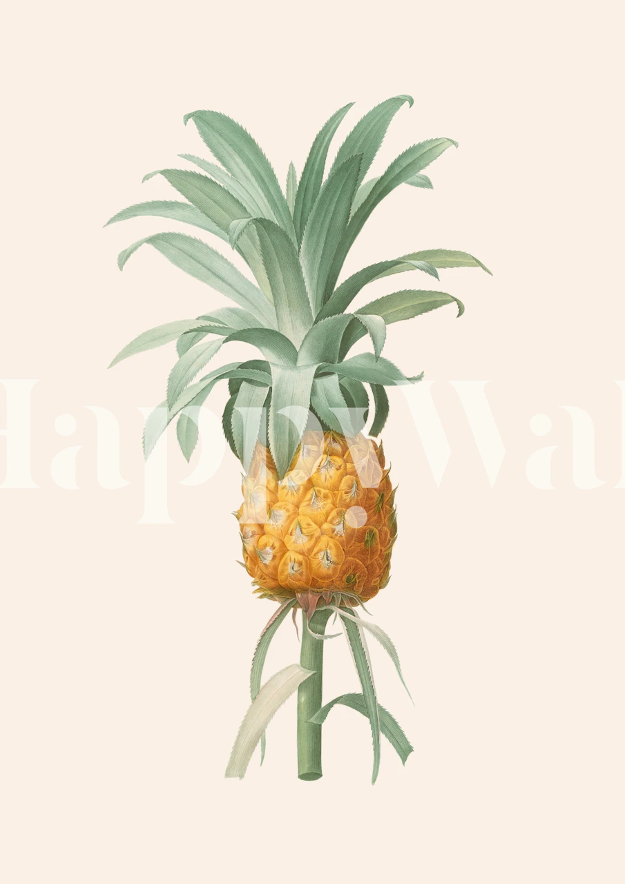 Pineapple 2 - Aster wall mural with a realistic pineapple on a cream background