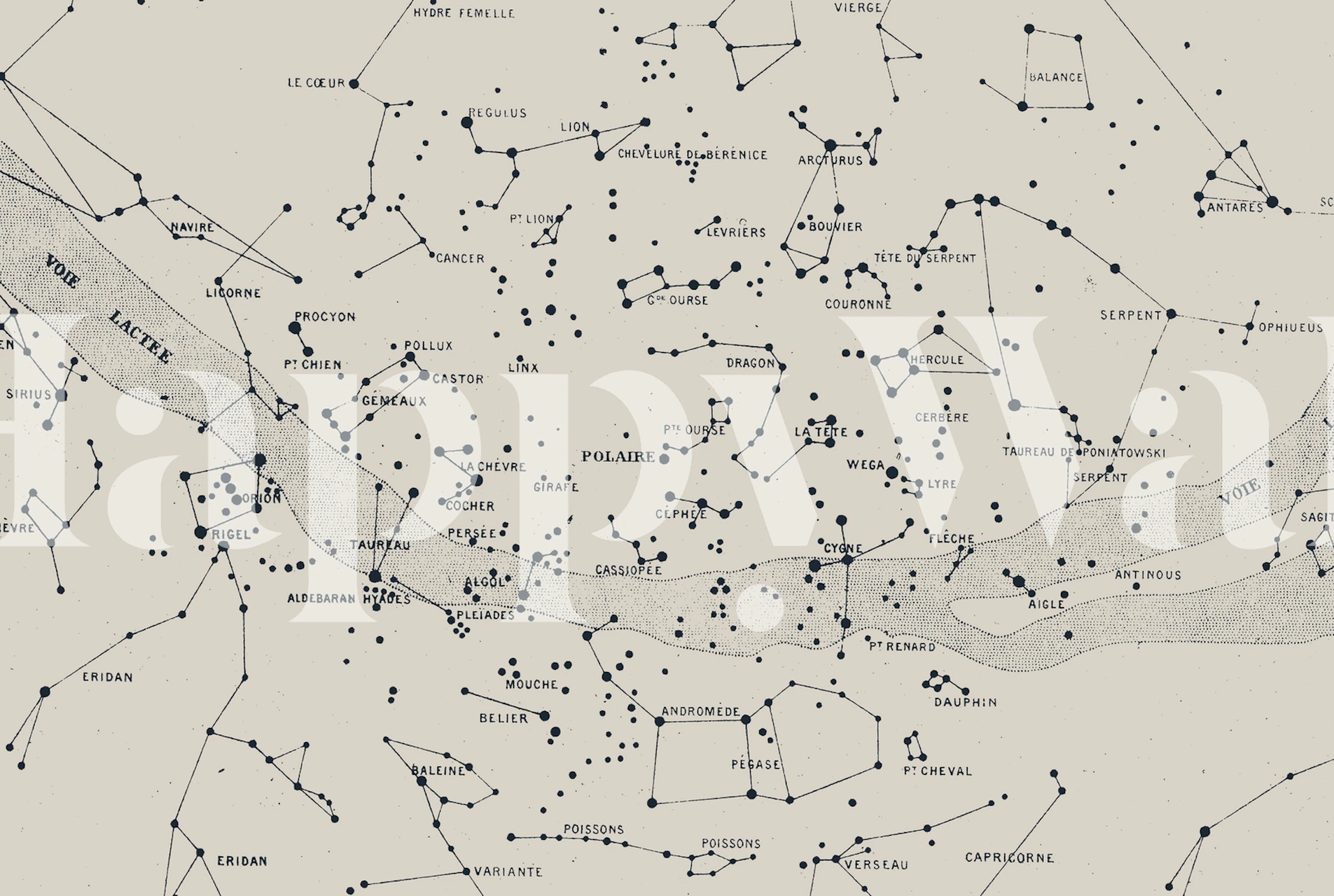 Carte du Ciel II - Aster tapetti huoneessa