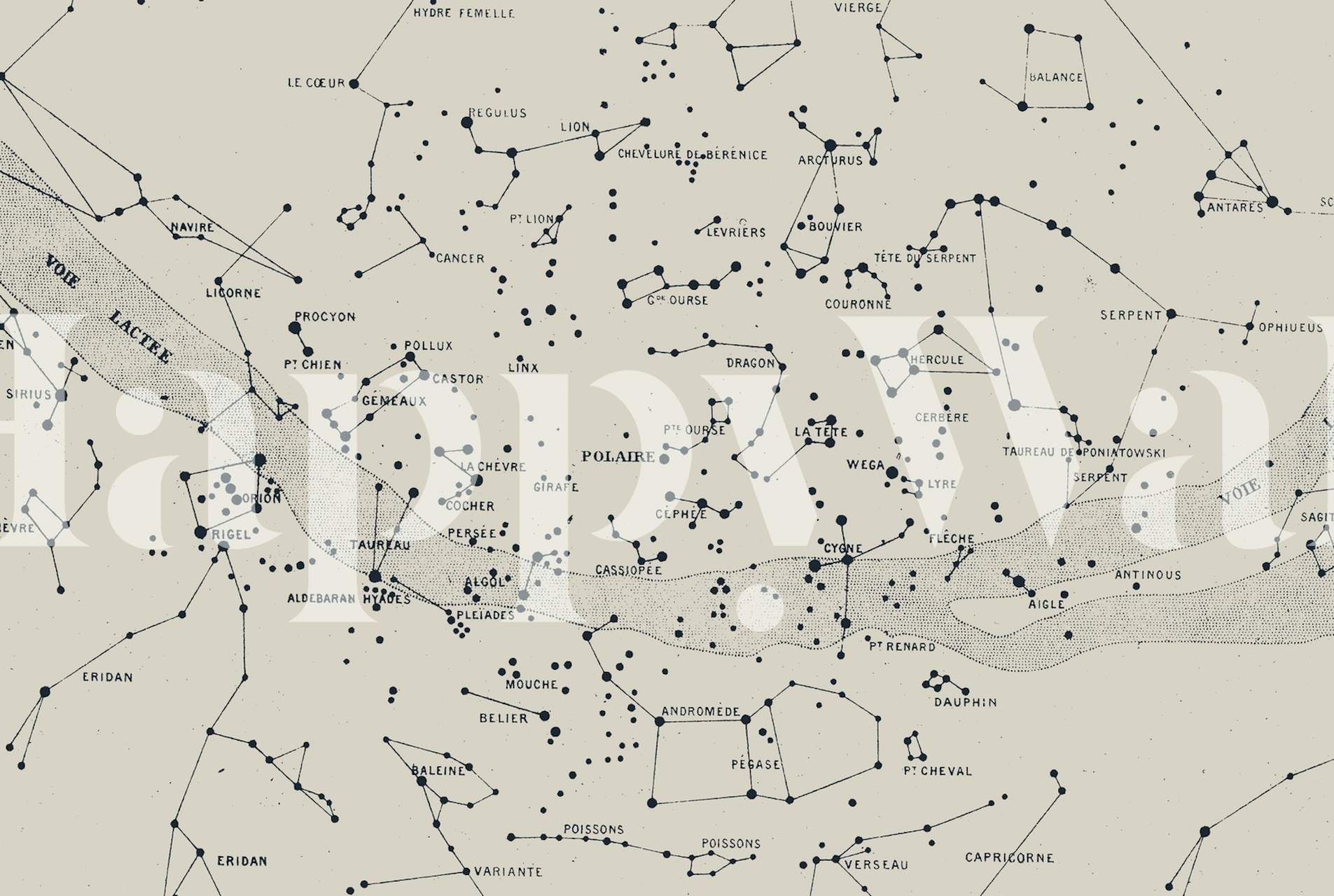 Carte du Ciel II - Aster tapet i rummet