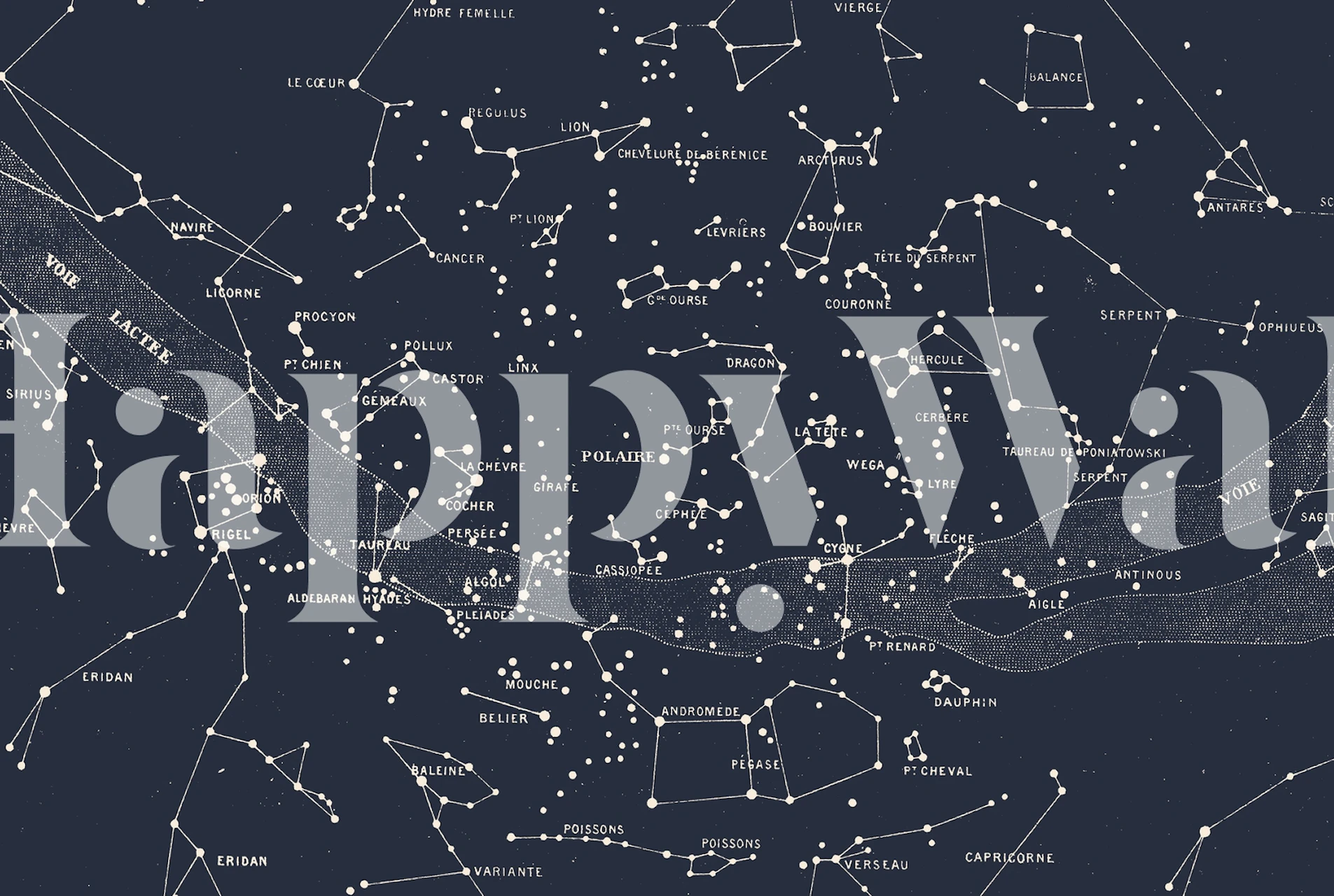 Carte du Ciel - Aster tapetdesign