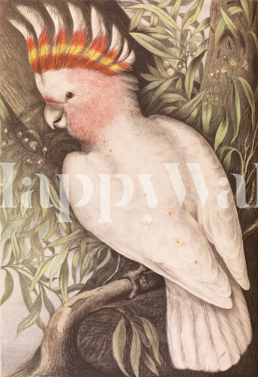 Papier peint Cockatoo dans un cadre naturel