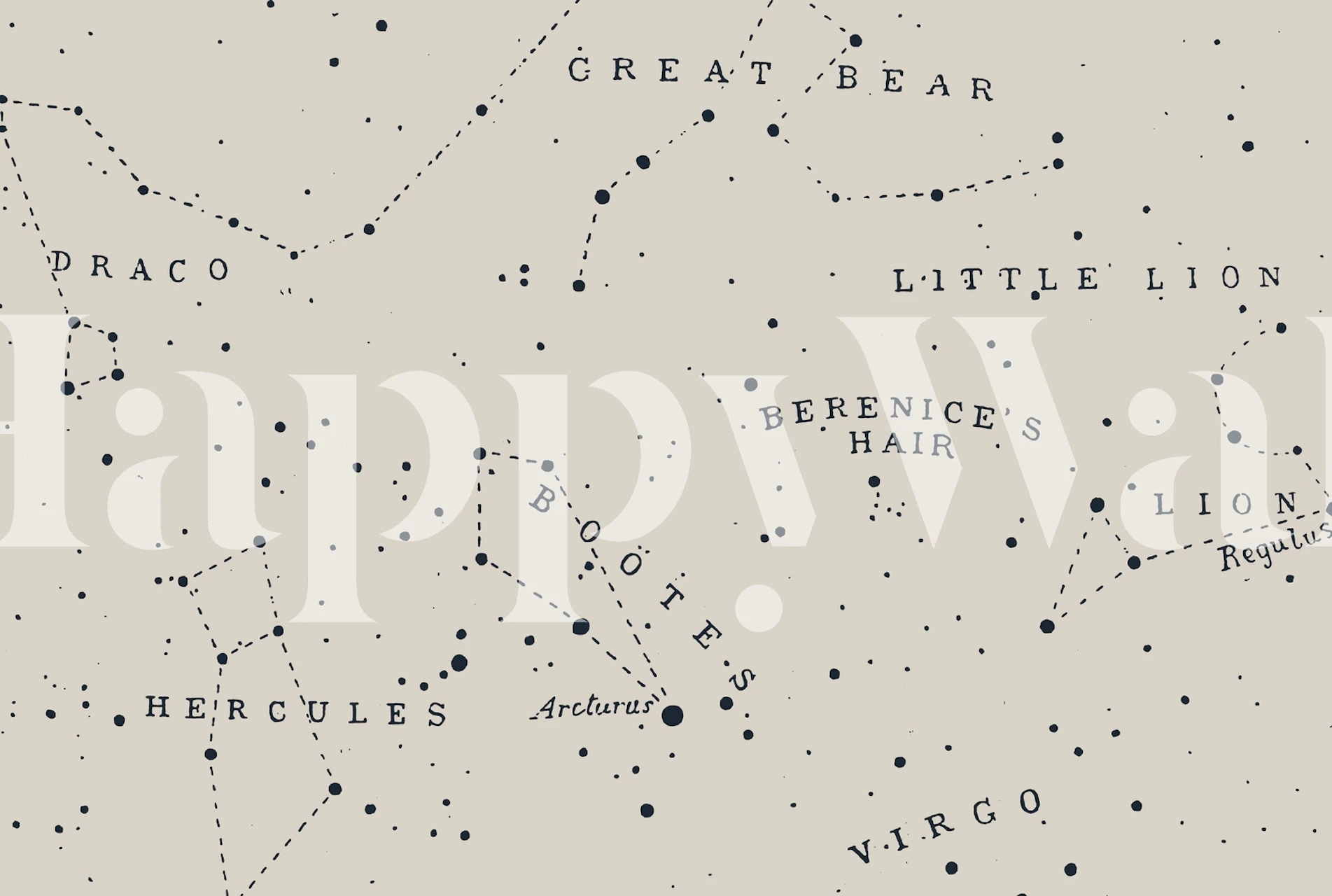 Constellation I - Aster wallpaper in a room