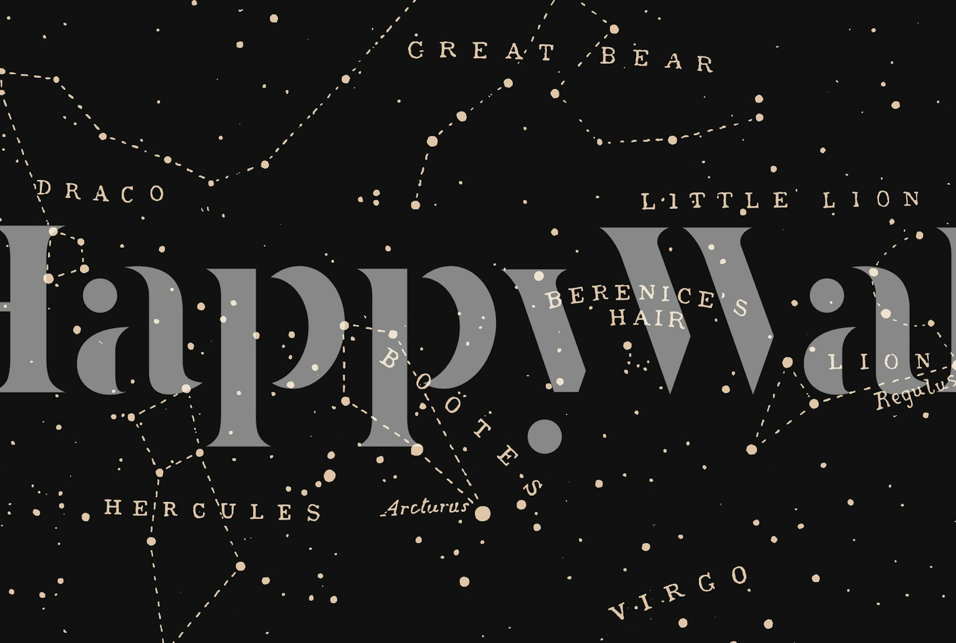 Constellation II - Aster tapet i ett rum