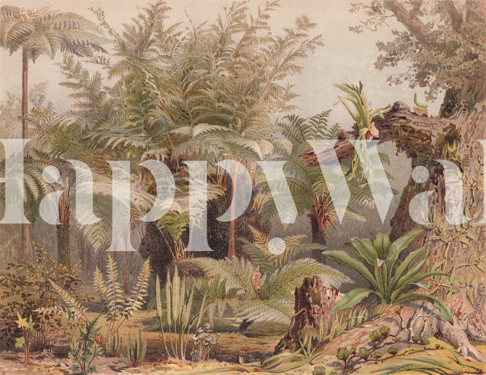Tropical forest wallpaper displayed in a room