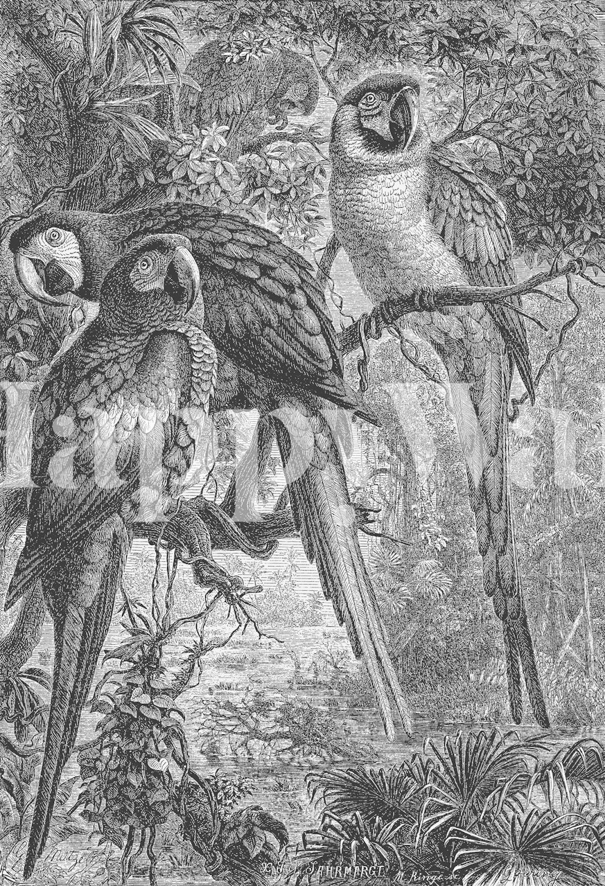 Tropical macaws perched on branches in a detailed black and white wallpaper