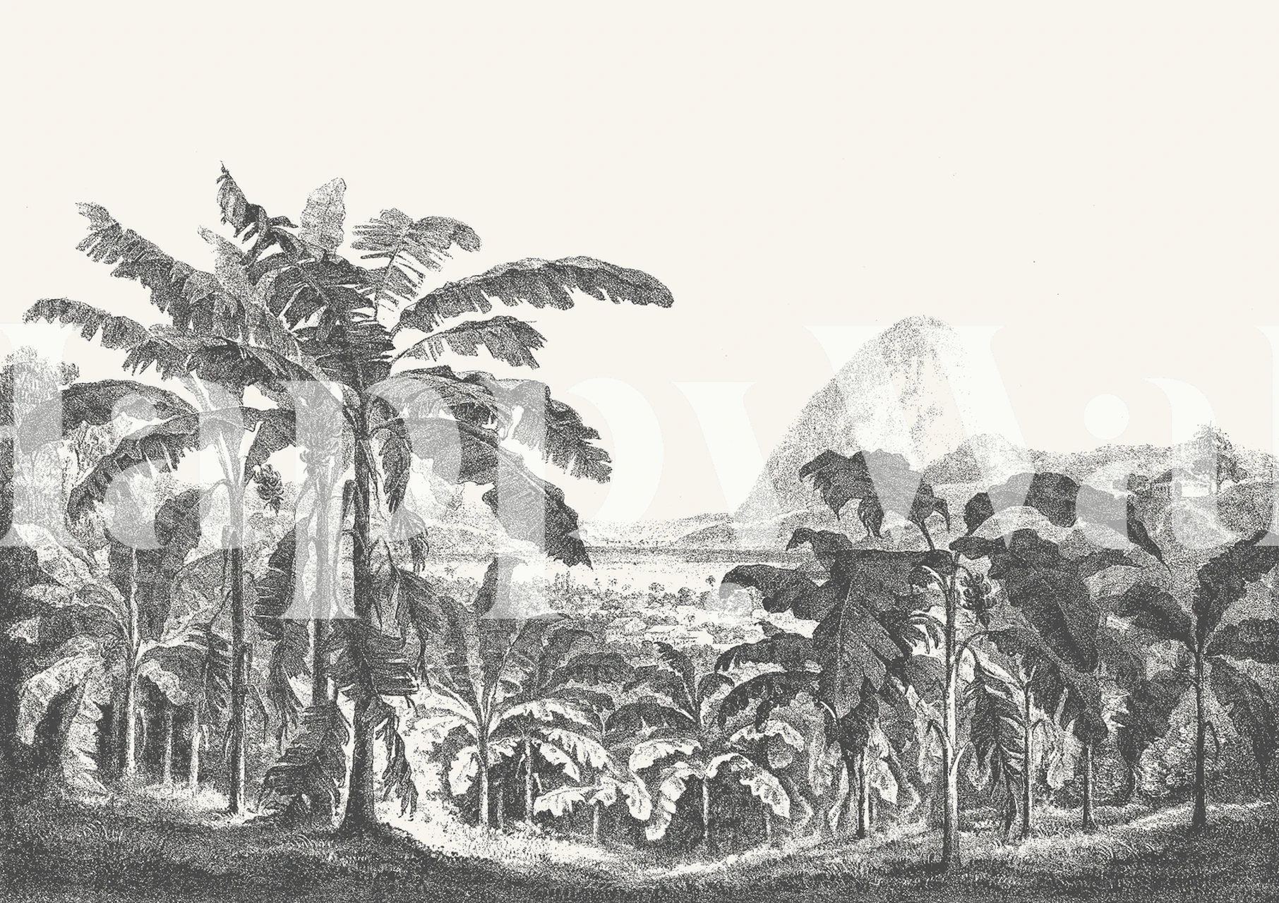 Carta da parati Palms and Mountains in una stanza