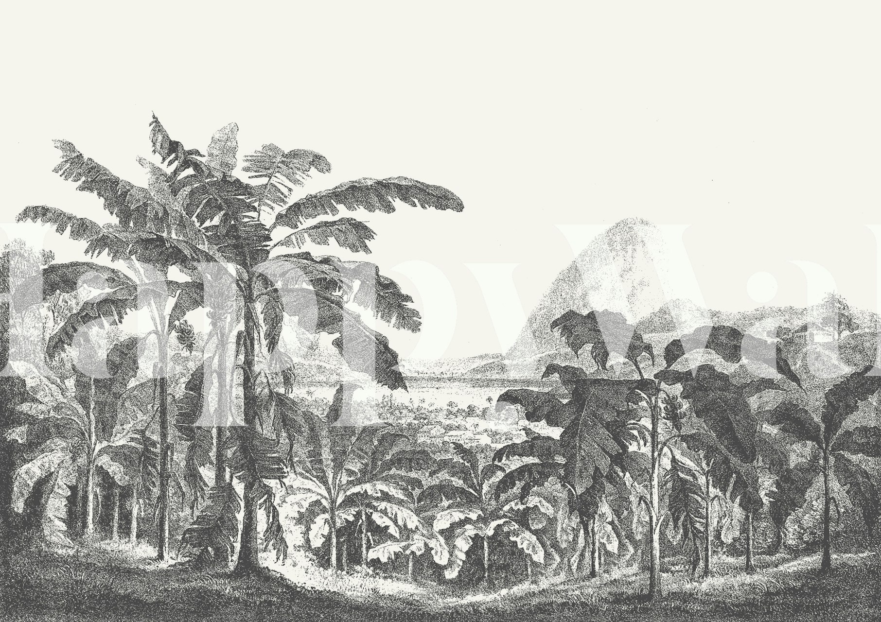 Tropical palm trees in black and white wallpaper