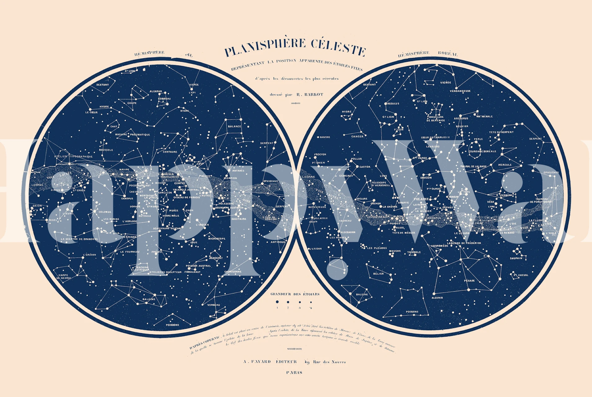 Vintage celestial star map wall mural on a cream background