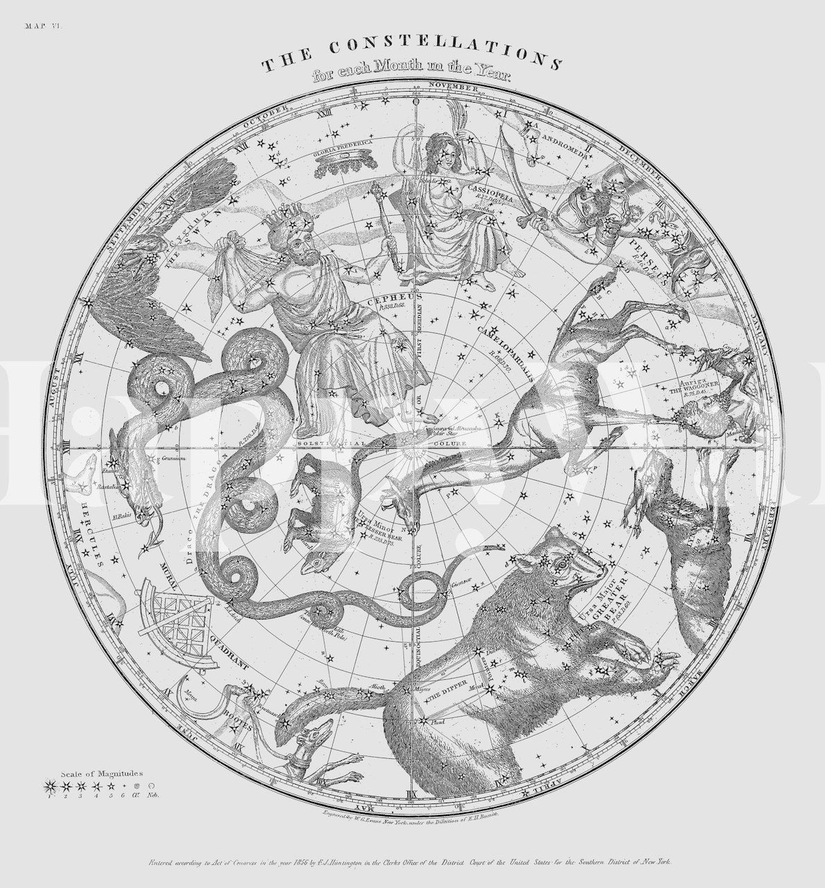 Celestial constellations diagram in black and white wallpaper