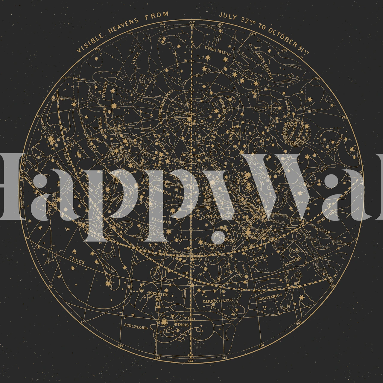 Himmelsk stjärnkarta tapet i mörka färger från happywall.com