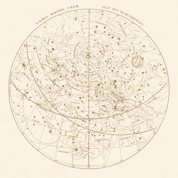 Visible Heavens - Gold - Aster