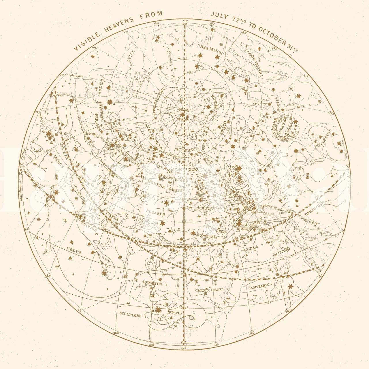 Gold celestial tapetti huoneessa