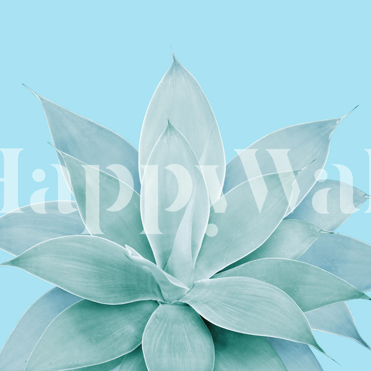 Agave plant leaves in soft light blue wallpaper