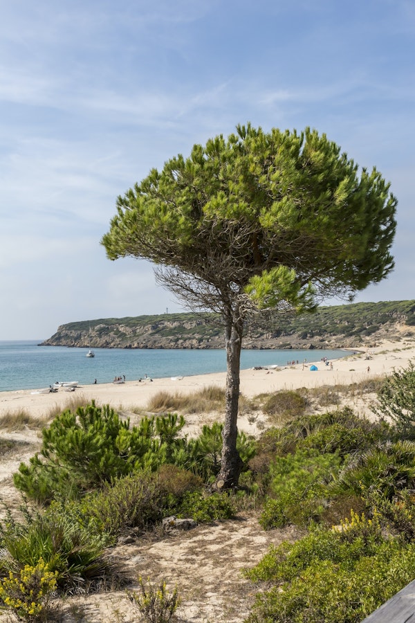 Andalusia Beach Impression