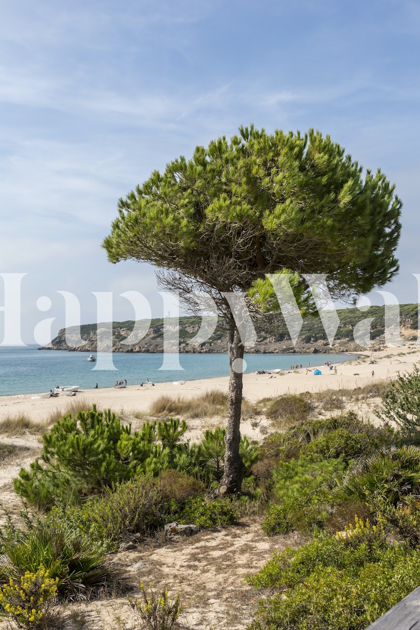 Andalusia Beach Impression prikazana u sobi