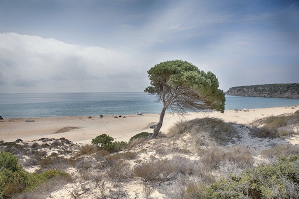 Andalusia Beach View