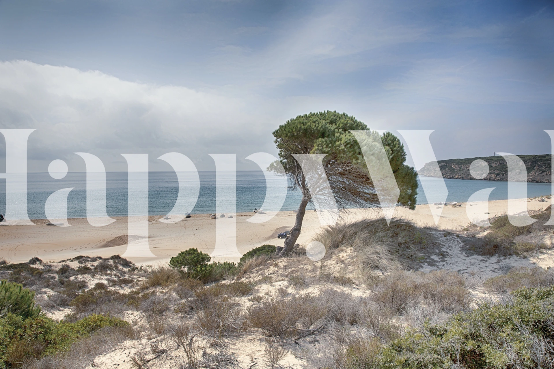 Andalusia Beach View zidna slika s osamljenim stablom i obalnim krajolikom
