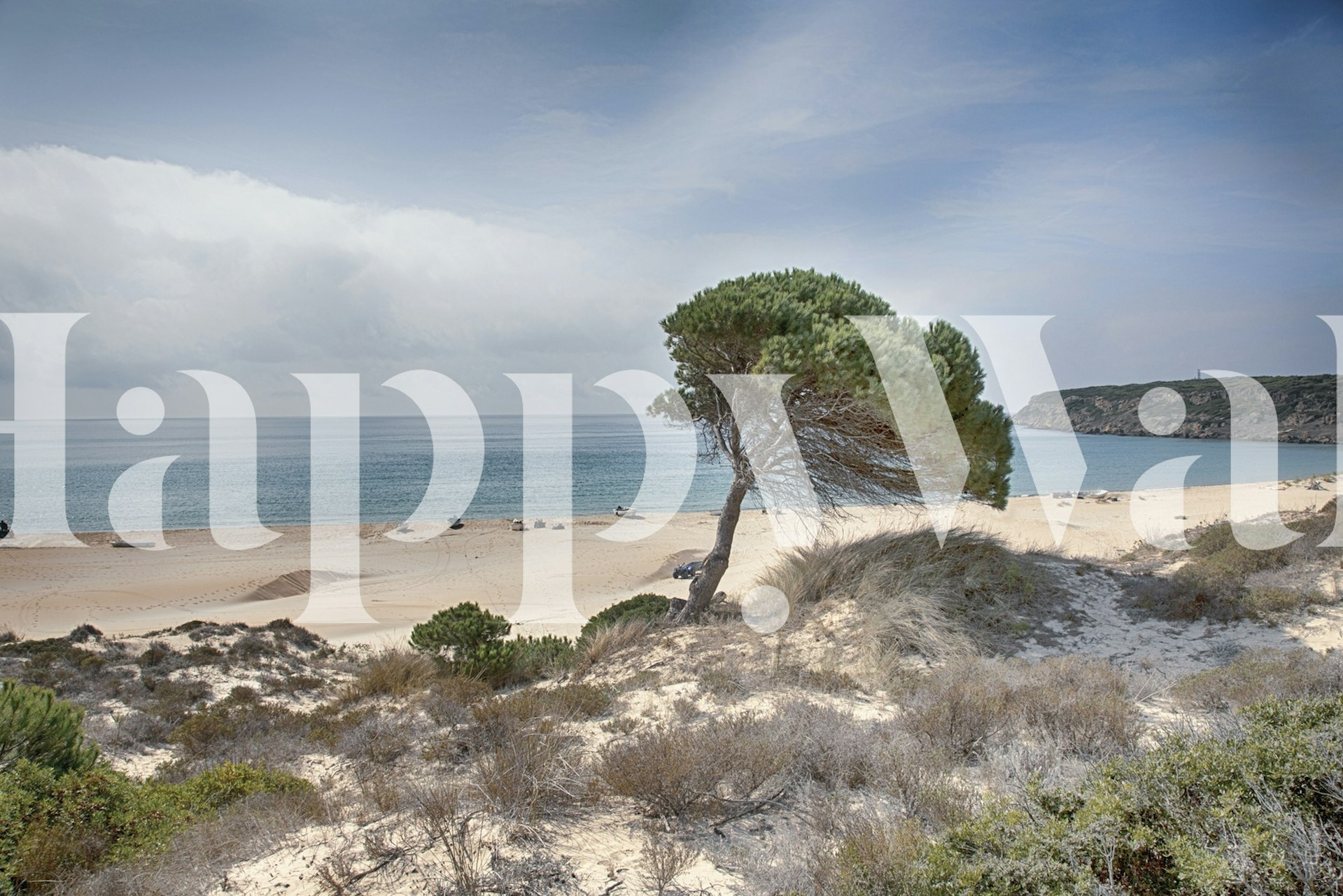 Beach scene featuring a lone tree, sandy shore, and calm ocean waters wallpaper