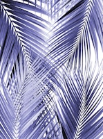 Very Peri Palm Leaves Cali 2 tapet