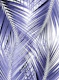 Very Peri Palm Leaves Cali 2