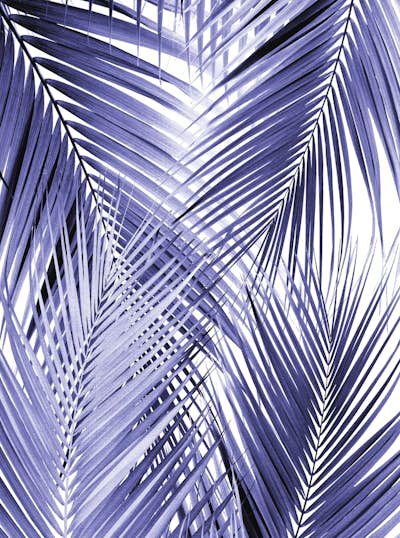 Τοιχογραφία