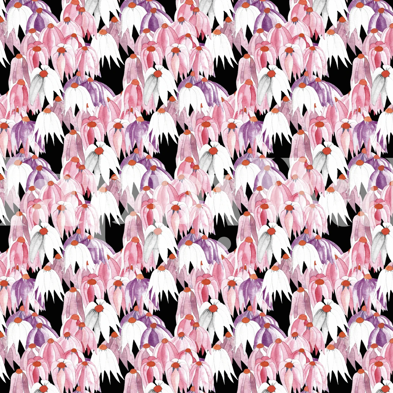 Pink floral pattern on black background wallpaper