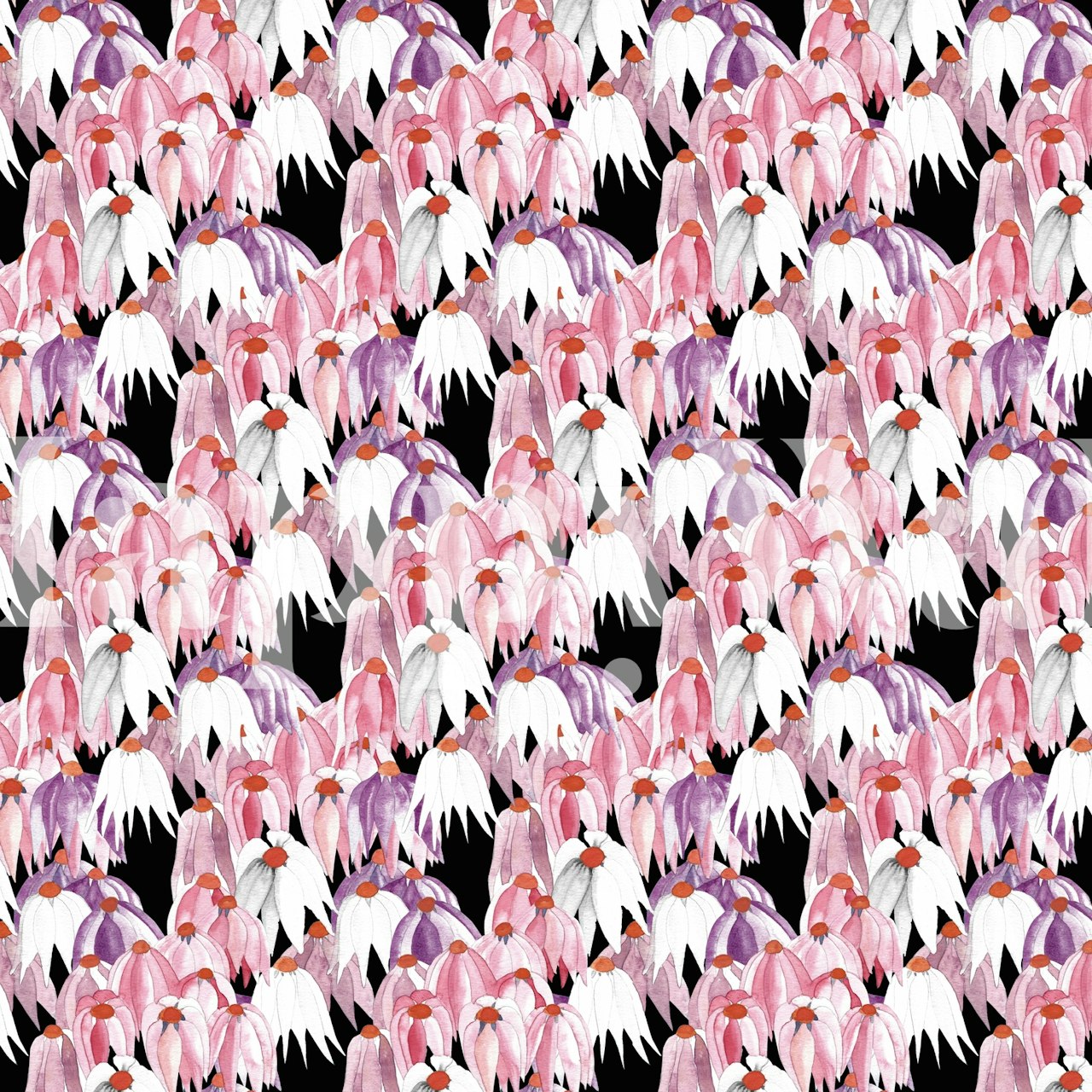 Pink floral pattern on black background wallpaper