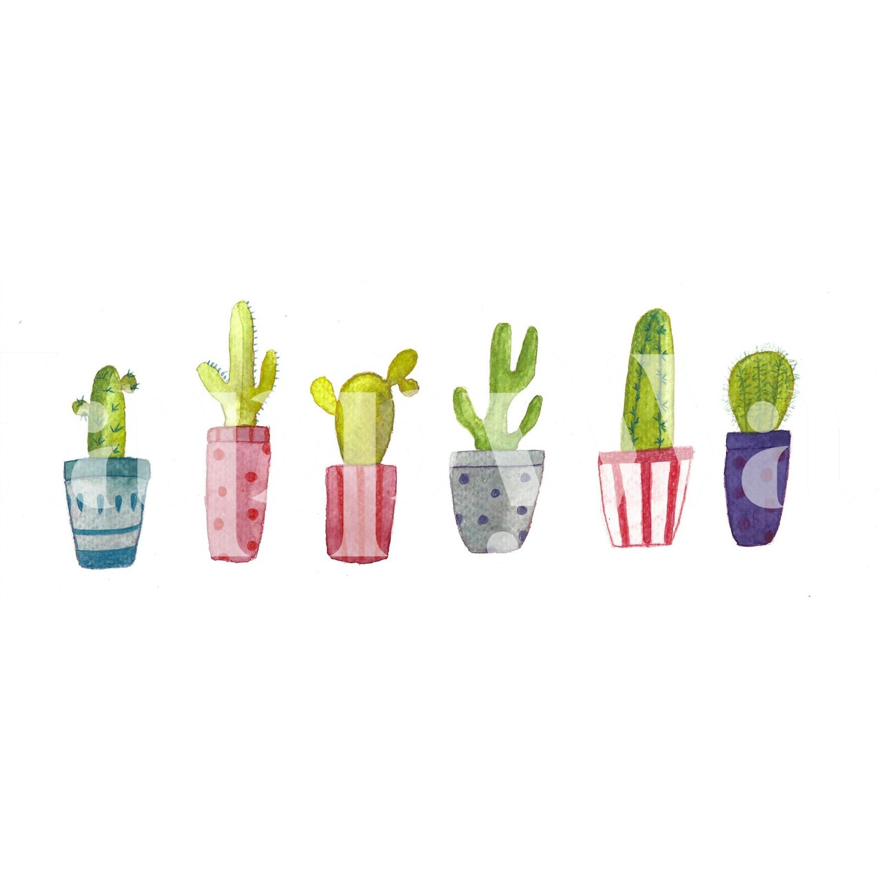 Macetas de cactus tapeta u postavci sobe