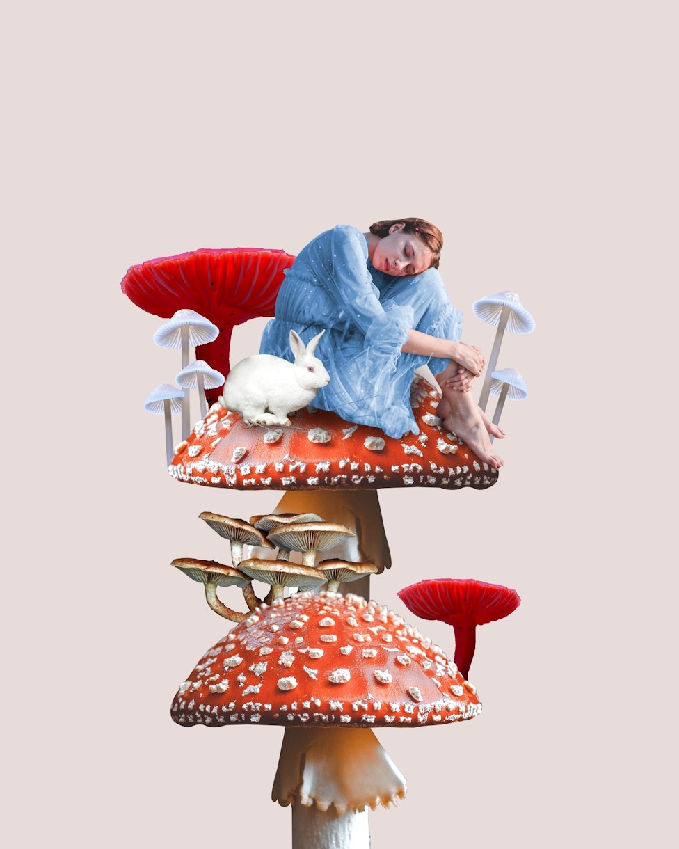 Mushroom Wonderland Wallpaper - Unique and Whimsical Designs