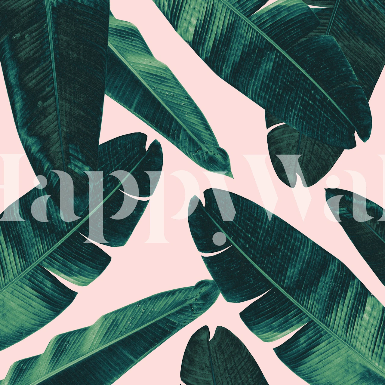 Green banana leaves on a soft pink background wallpaper