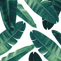 Banana Leaves Cali Vibes 2 ταπετσαρία