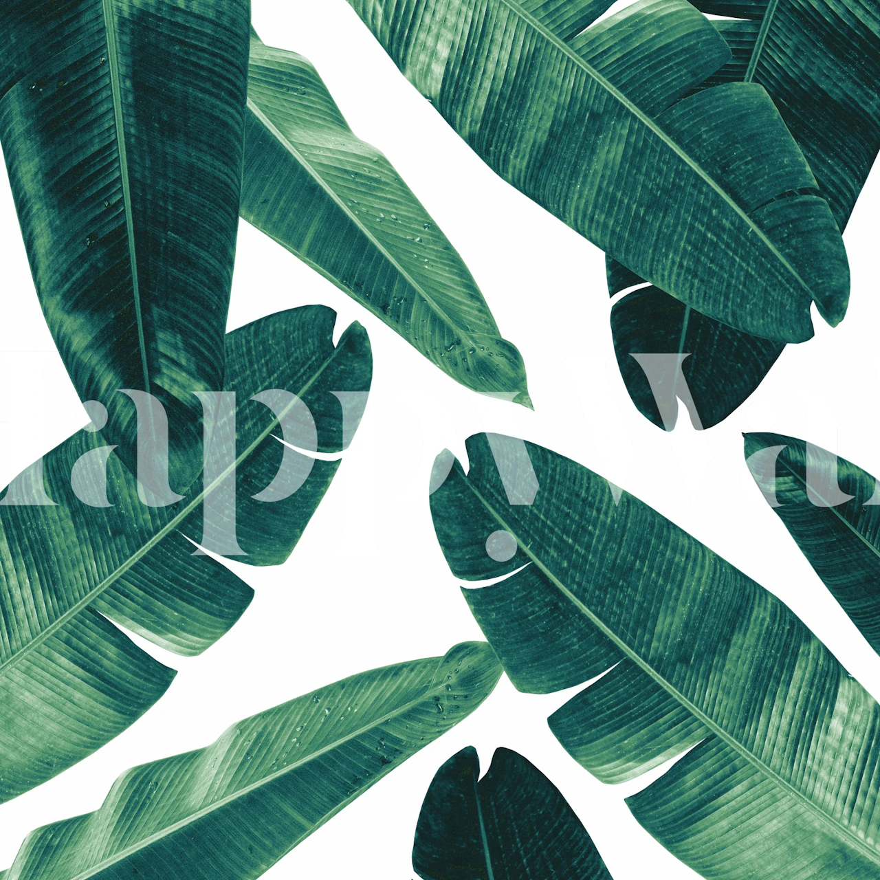 Banana Leaves Wall Mural with Cool Tones