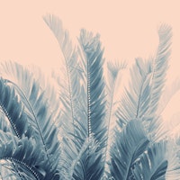 Tropical Leaves Dream 4 ταπετσαρία