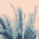 Tropical Leaves Dream 4