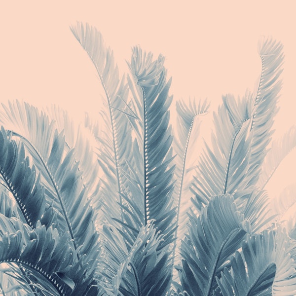 Tropical Leaves Dream 4