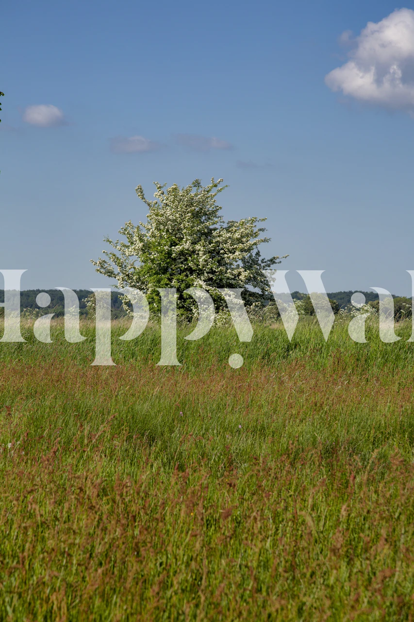 Rural landscape wallpaper with greenery and sky