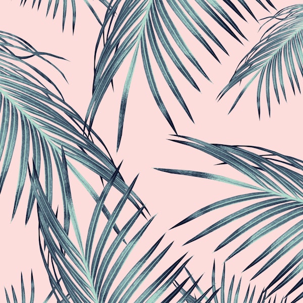 Blush Palm Leaves Dream 1
