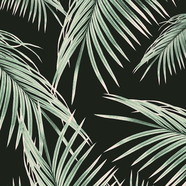 Green Palm Leaves Dream 1