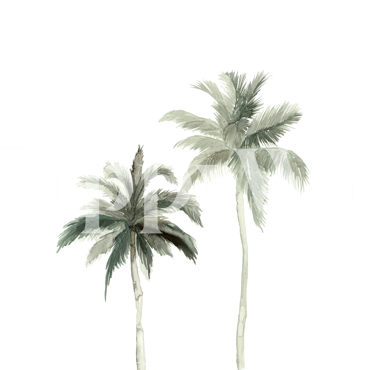 Two tall palm trees green and grey colors botanical wallpaper