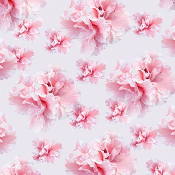 Pink Azalea Flower Dream 1