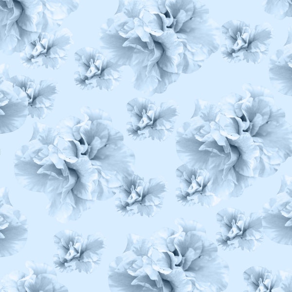 Light Blue Azalea Flower 1