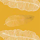 Mustard Palm Leaves Gold
