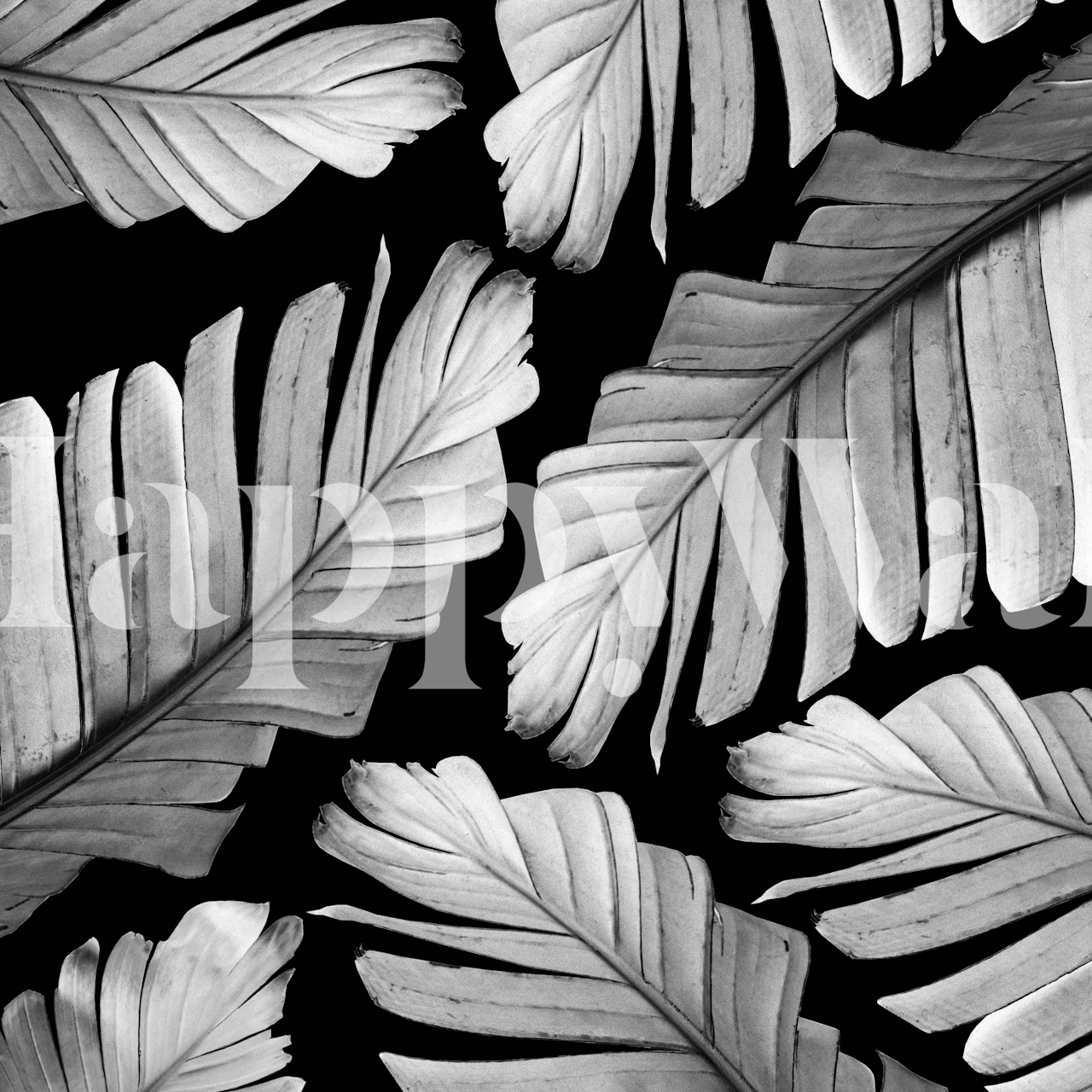 Tropical Gray White Banana tapet i et rom