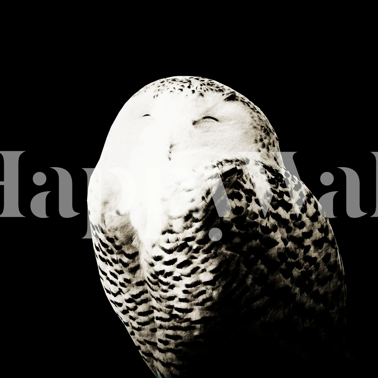 Diseño de papel tapiz Snow Owl en una habitación