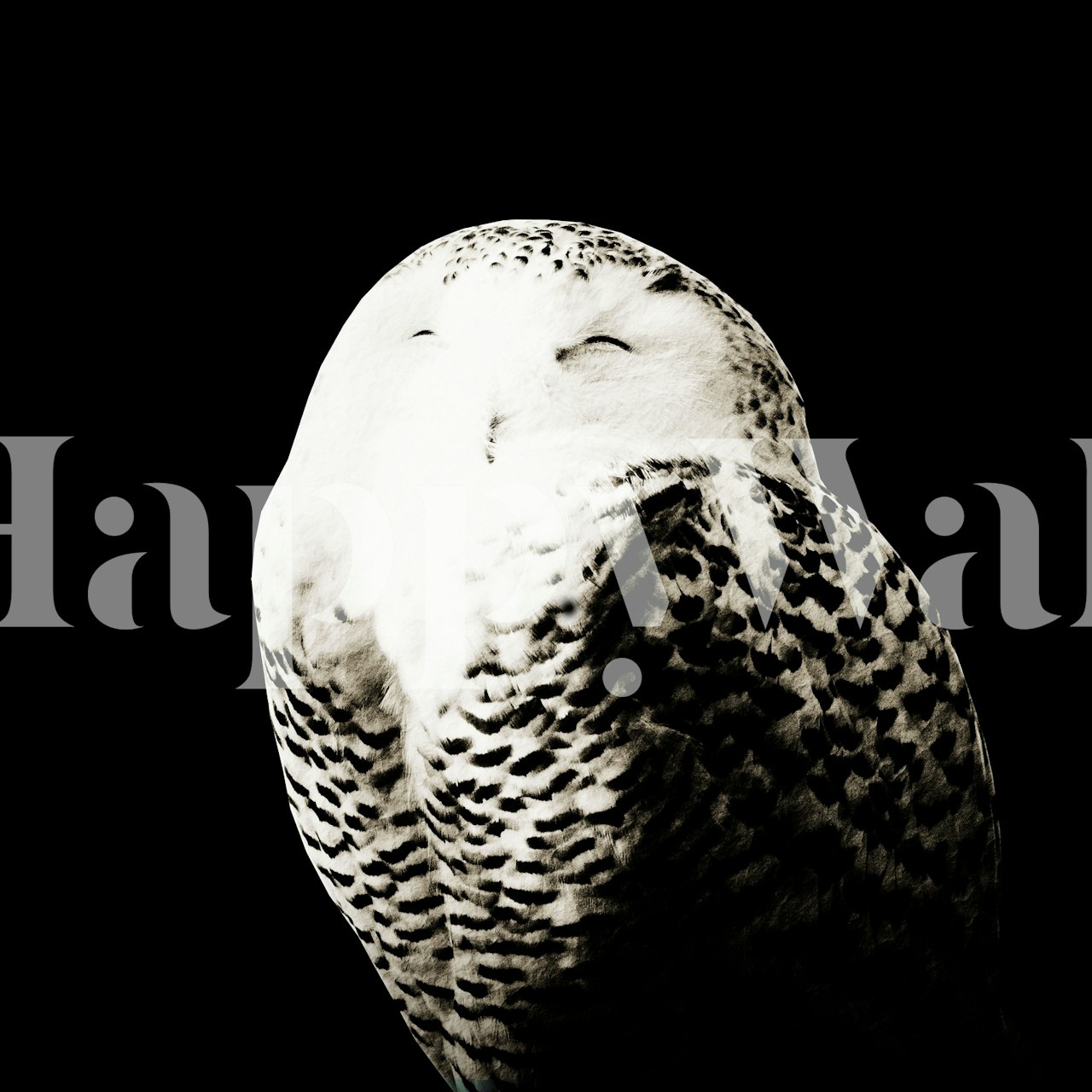 Snow Owl Tapet-Design in einem Raum