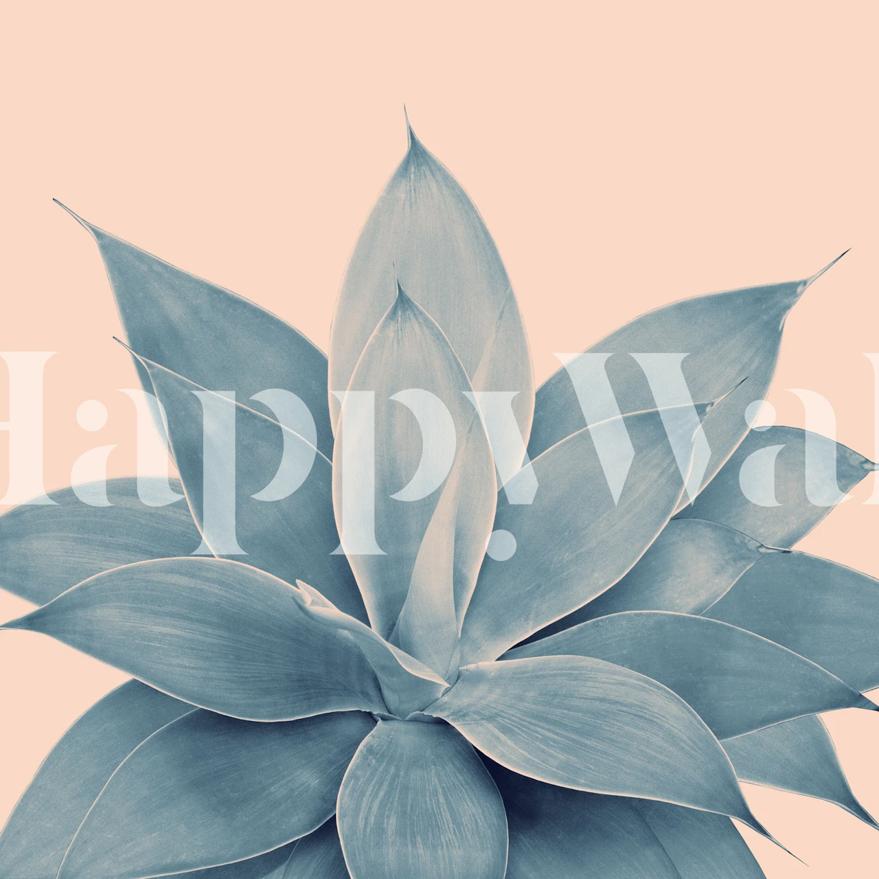 Blush Agave 3 wallpaper in a decorated room