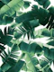Banana Leaves Summer Jungle 1