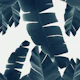 Banana Leaves Green Blue 2